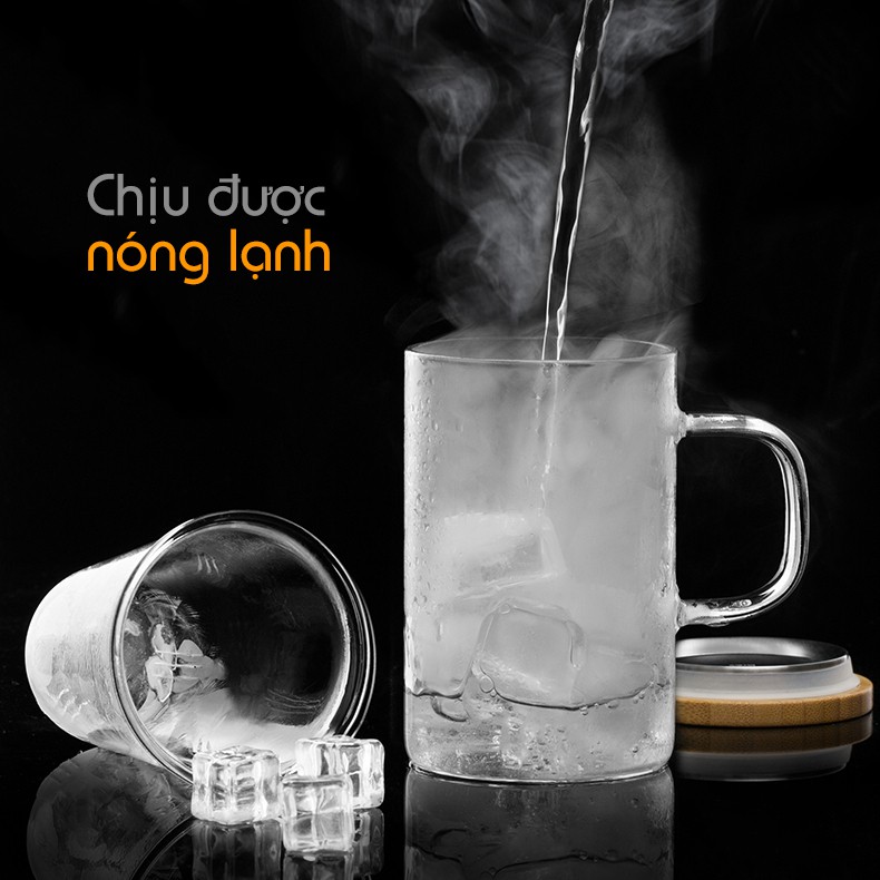 Ly lọc trà thủy tinh lõi thủy tinh 500ml