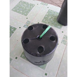 chậu nhựa size 8,