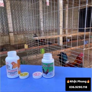 GALLOMIN & B15-B12 - (Bộ đôi nuôi chất lượng dành cho Chiến Kê)