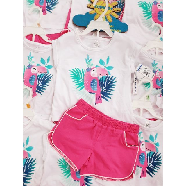 Set bộ Koala Kids