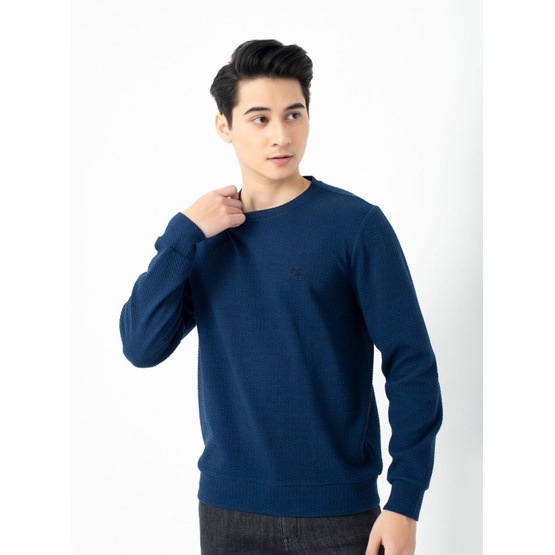 Áo nỉ nam dài tay giữ nhiệt thời trang ARISTINO ISW002W1