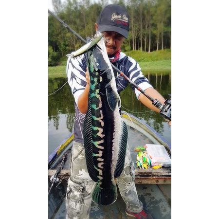 Cần câu lure Jack One