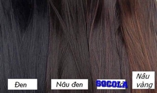 Mái thưa 3D có rãnh da đầu