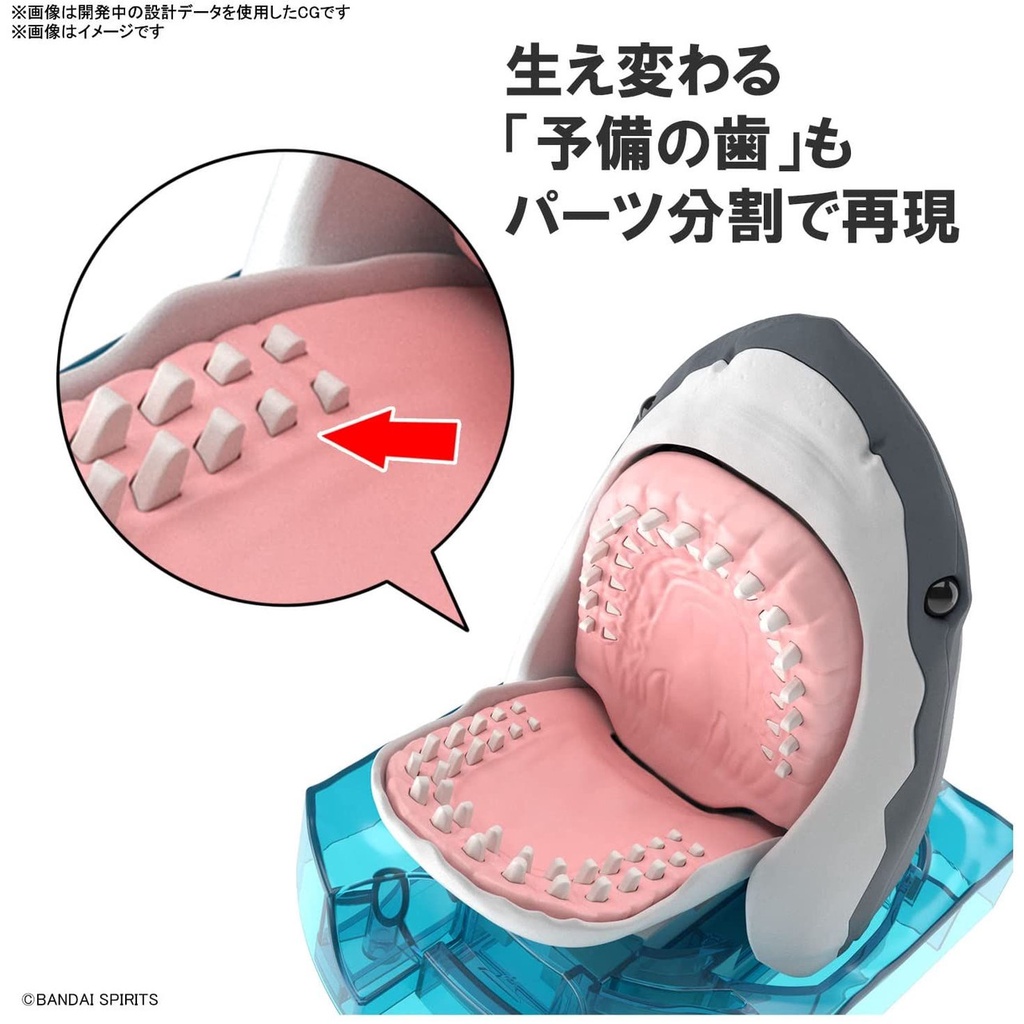 Mô hình lắp ráp Exploring Lab Nature Great White Shark Bandai 4573102633927