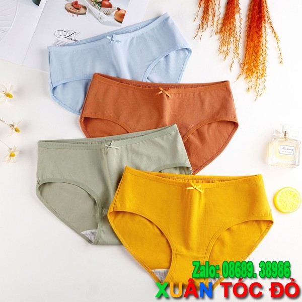 Quần Lót Nữ Cotton 7 Màu Có Nơ Cực Xinh M081