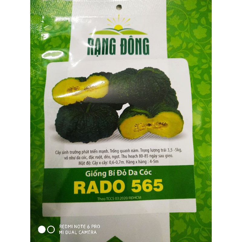 Hạt giống Bí da cóc 5 hạt❤️FREESHIP XTRA❤️