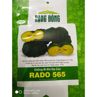 Hạt giống bí da cóc 5 hạt❤️freeship xtra❤️