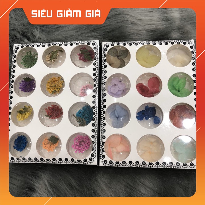 set hoa khô trang trí
