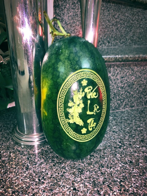 Máy khắc & cắt chữ laser, Khắc DƯA HẤU DIY tại nhà chất lượng cao giá tốt