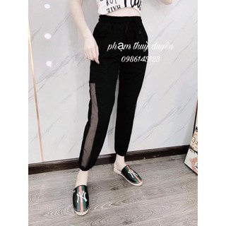 Quần đũi pha lưới