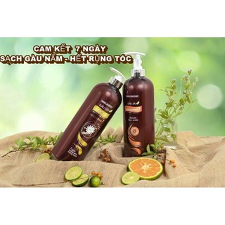 Dầu gội dược liệu thái dương 7 (600ml)