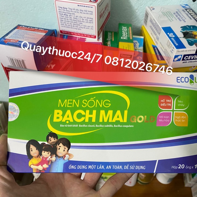 ✅MEN SỐNG BẠCH MAI GOLD (MẪU MỚI)