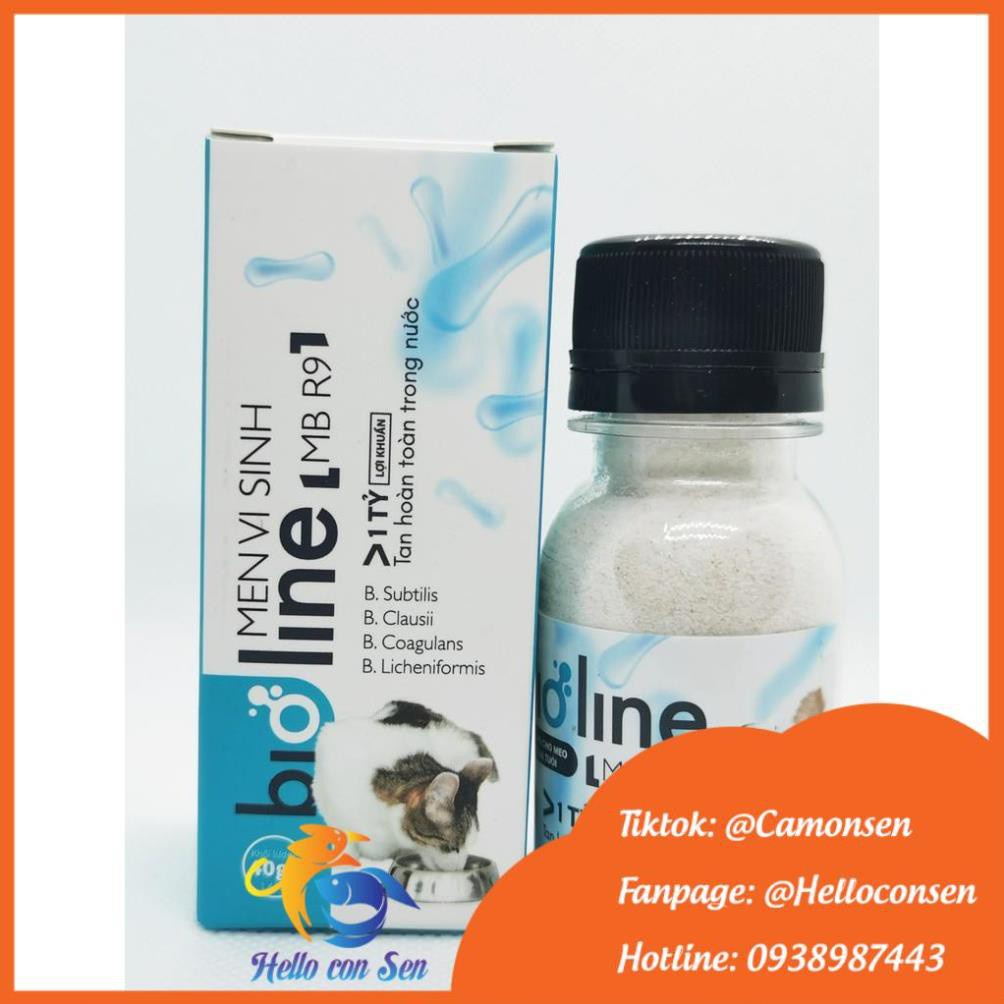 3 hũ men vi sinh cho chó mèo  BIOLINE MBR9 40g tăng đề kháng, tăng men tiêu hóa gây thèm ăn