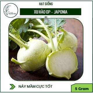 Hạt giống su hào xanh op cao sản