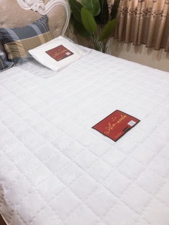 Ruột Chăn Hè Thương Hiệu AMada Lông Vũ