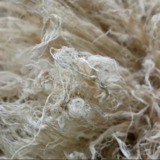 Tre bào, sơ dừa cho chim làm tổ