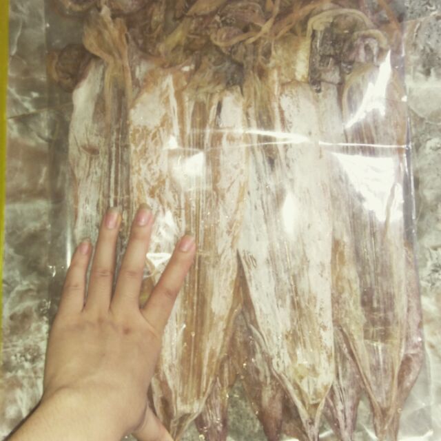 Free ship 500gr mực khô xịn (15con/kg)