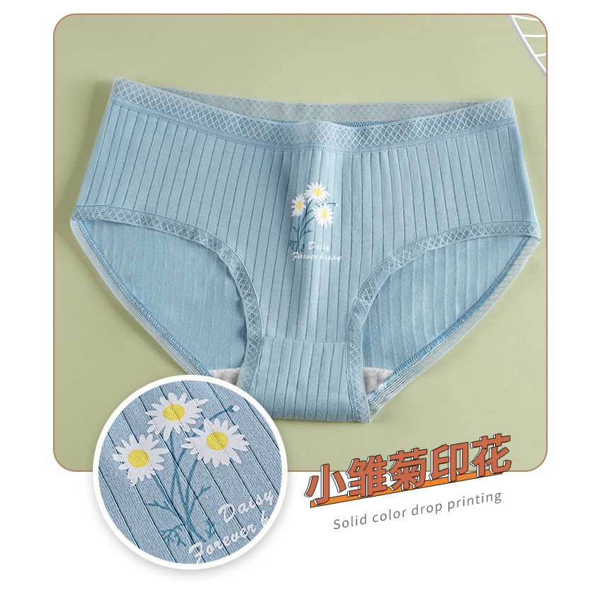 Quần lót cotton NORNS GIRL họa tiết hoa cúc xinh xắn dành cho nữ