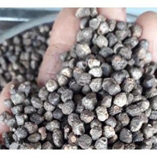 Hạt chuối hột rừng (gói 500g), hạt chuối rừng, tan sỏi thận, tiểu đường, đau lưng, đau xương khớp