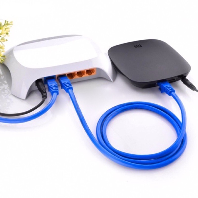 Dây mạng cat 6 bấm sẵn 2 đầu dài 5m - Dây cáp mạng lan internet xịn tốt cao cấp