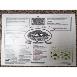 Poster The Healing Web (Tiếng Việt)