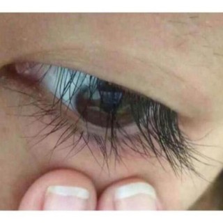 Mascara dầu dừa