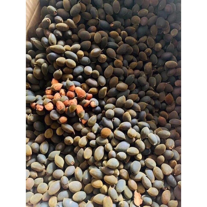 (Tặng kèm muối tôm) Say trâu rừng 500gr Nhii Food đồ ăn vặt chua chua ngọt ngọt | BigBuy360 - bigbuy360.vn