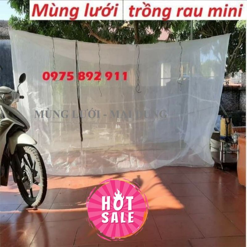 Lưới chống côn trùng , nhà lưới mini ngăn côn trùng