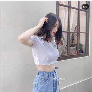 ❌Set Quần Đai Nút + Crop PETTER LOGO