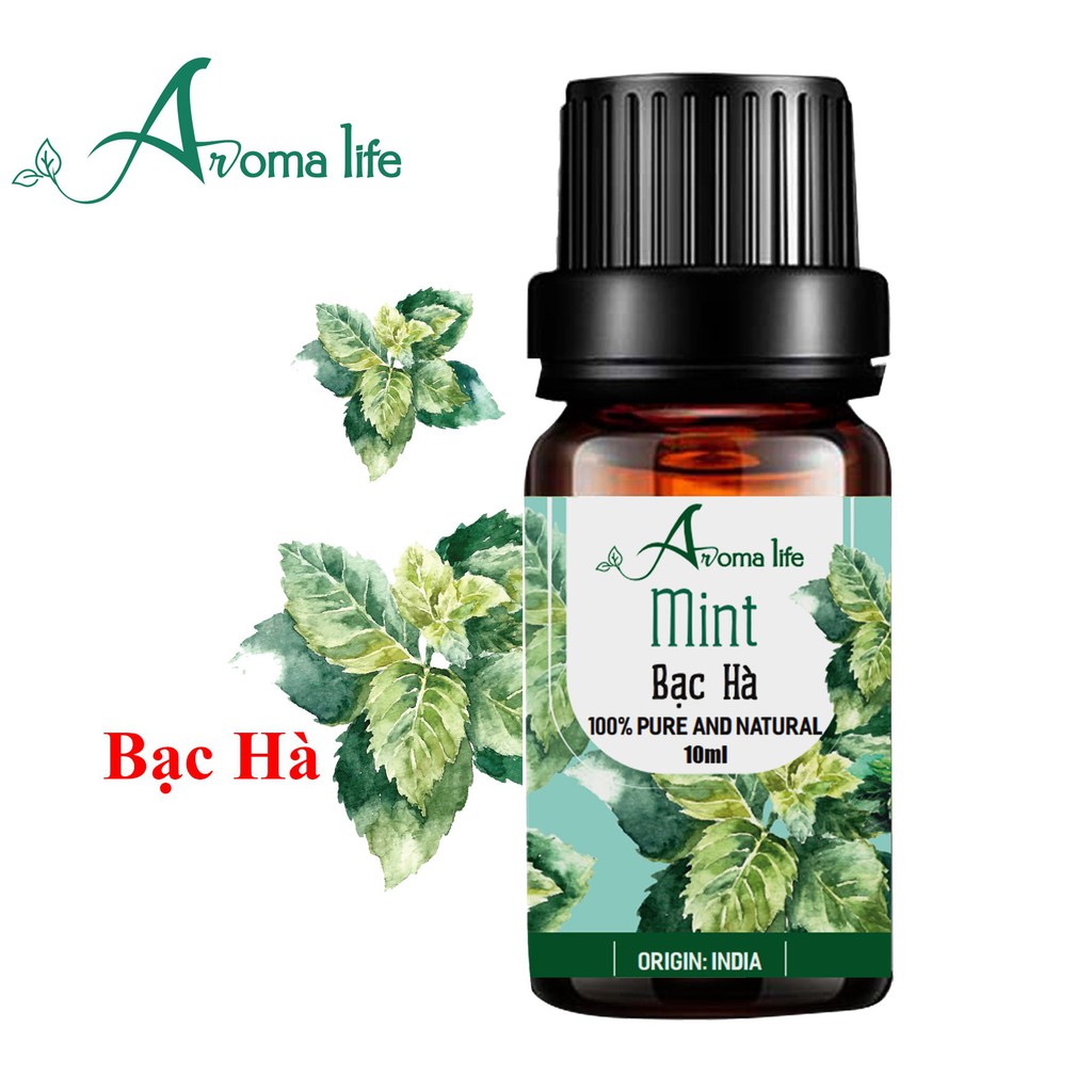 [Ưu đãi] Combo 3 chai 10ml tinh dầu tự nhiên nguyên chất Ấn Độ_Aroma Life