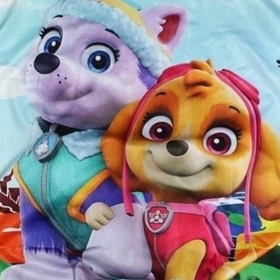 Quần áo bé gái size đại từ 10-40kg chất thun lạnh in 3d hình chó cứu hộ paw patrol Kunkun Kid TP683