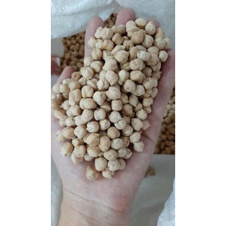 Hạt đậu gà Ấn Độ (chickpeas)