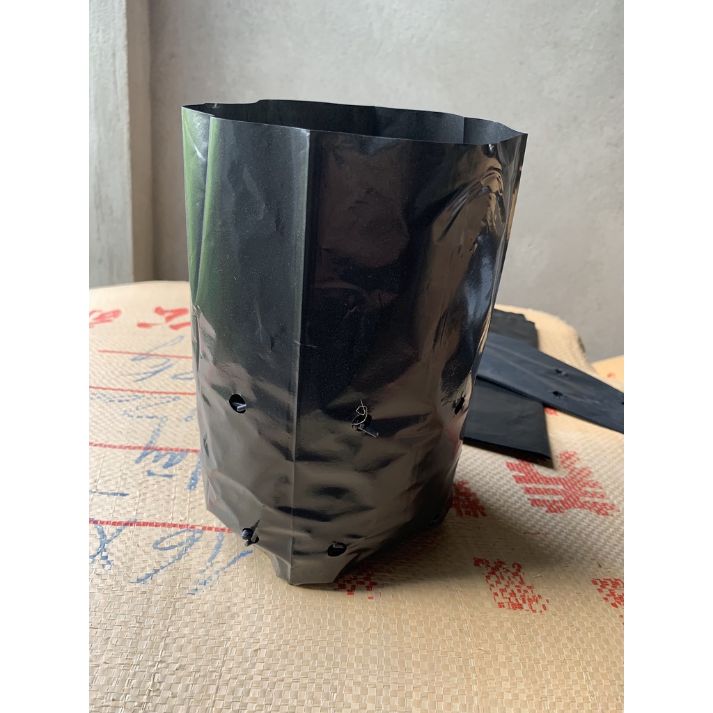 1KG TÚI ƯƠM CÂY MÃ 20*25 ( KÍCH RỄ, MẦM CÂY XANH LÁ, DỊCH TRUYỀN CHO CÂY, BẠT CỎ...)