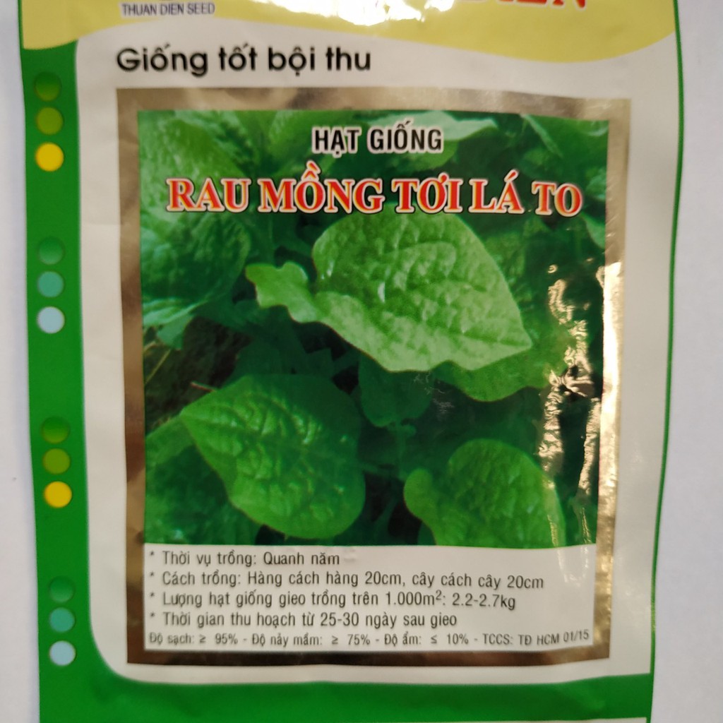 Hạt giống RAU MÔNG TƠI LÁ TO