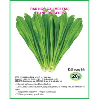 Hạt Giống Ngò Gai (Mùi Tàu) ☘Nhập Khẩu☘ Sen Vàng Seeds - 2 gram