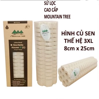SỨ CỦ SEN MOUNTAIN TREE THẾ HỆ 3 ( 1 Thanh )