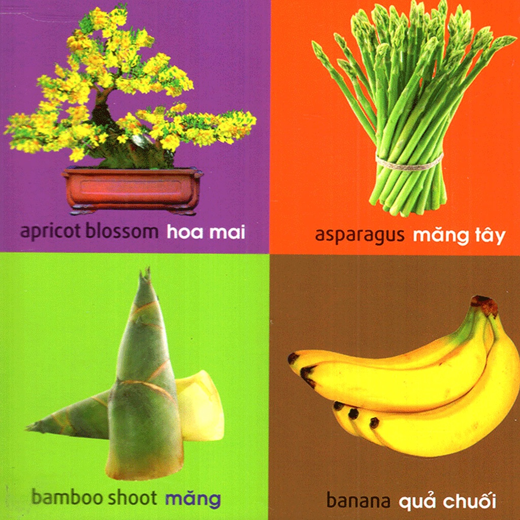 Sách - 101 First Words - Plants (101 Từ Đầu Tiên - Thực Vật)