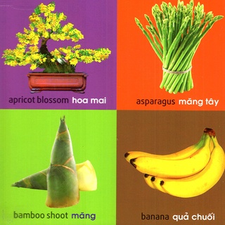 Sách - 101 First Words - Plants (101 Từ Đầu Tiên - Thực Vật)