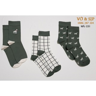Set tất Caramella Dog cho Nam