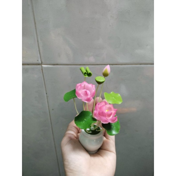 Chậu hoa sen đất sét mini