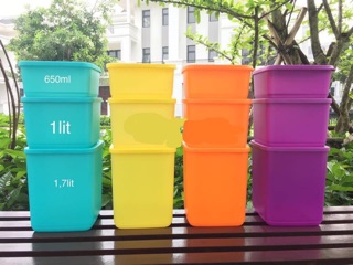 Tupperware - Bộ trữ mát 4 hộp small square 650ml