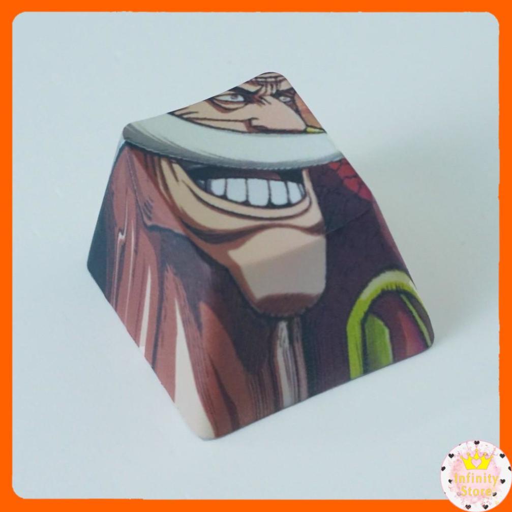 NÚT KEYCAP ESC LẺ IN HÌNH DÀNH CHO BÀN PHÍM CƠ [ALBUM ONE PIECE] INFINY DECOR