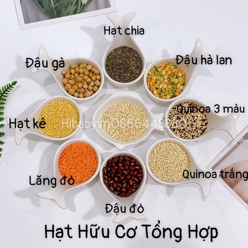 Hạt Hữu Cơ Cho Bé Tổng Hợp (tách lẻ 50g-100g-200g)