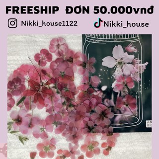 SET 20 Sticker hoa phong cách vintage