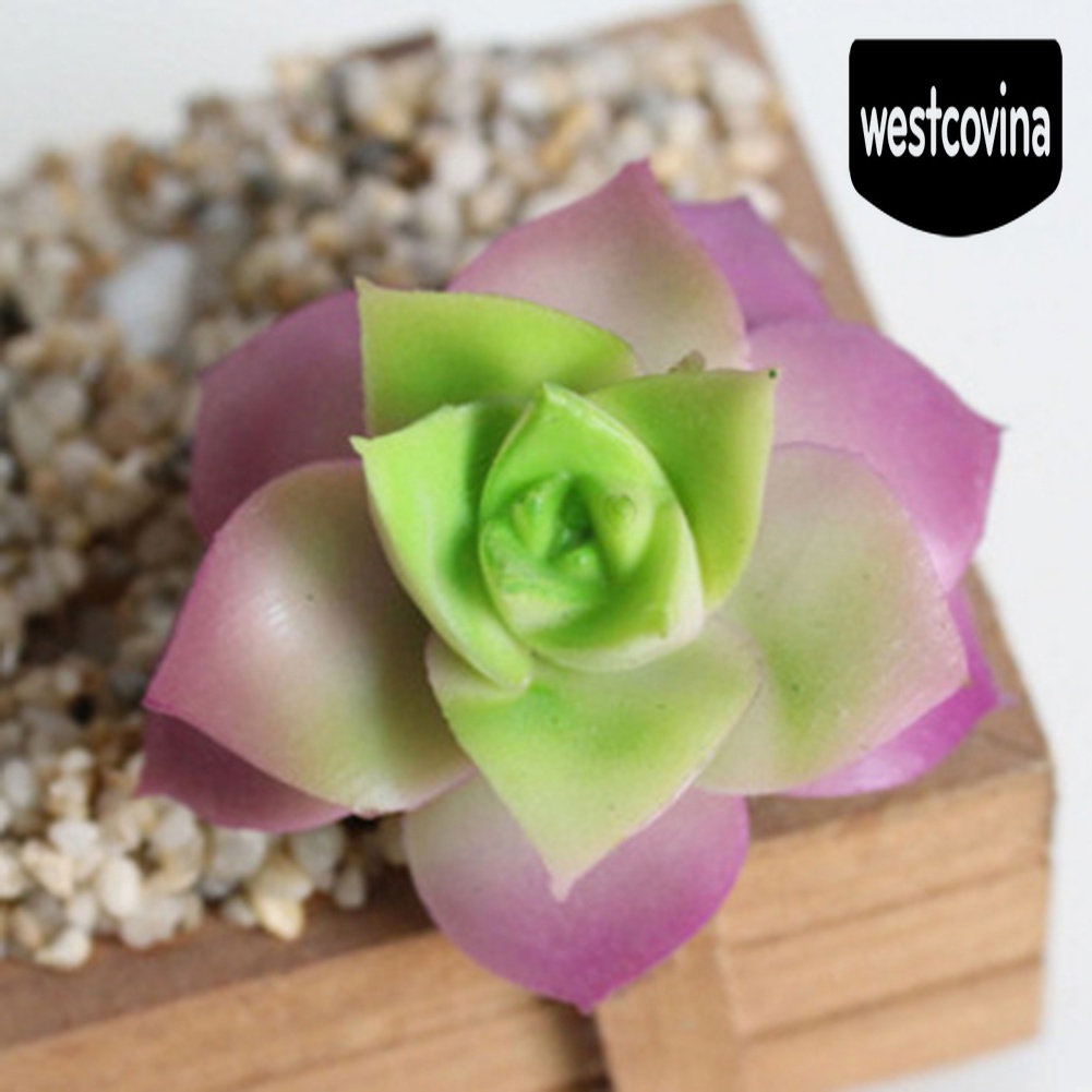 [Hot]☀ Chậu Cây Bonsai Để Bàn Trang Trí Văn Phòng / Nhà Cửa DIY