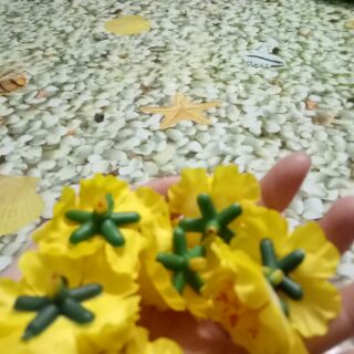 Hoa Mai ,Đào giả