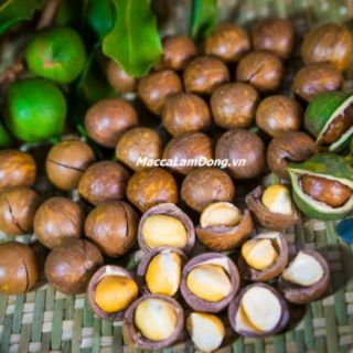 Hạt macca Lâm đồng size A 250gr