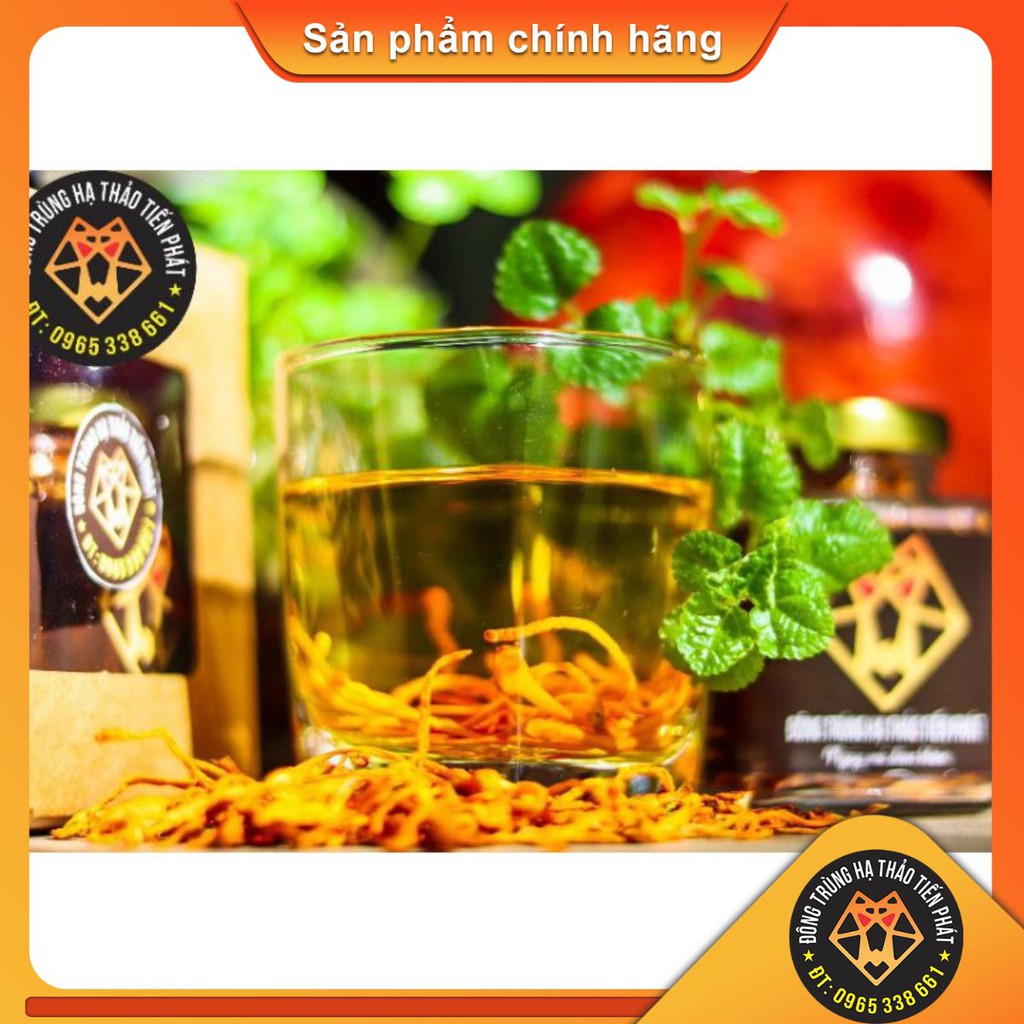 💫 [ HÀNG CAO CẤP ] Đông trùng hạ thảo ( rượu ) sinh khối khô 500ml - Đông Trùng Hạ Thảo Tiến Phát 🐉 | BigBuy360 - bigbuy360.vn