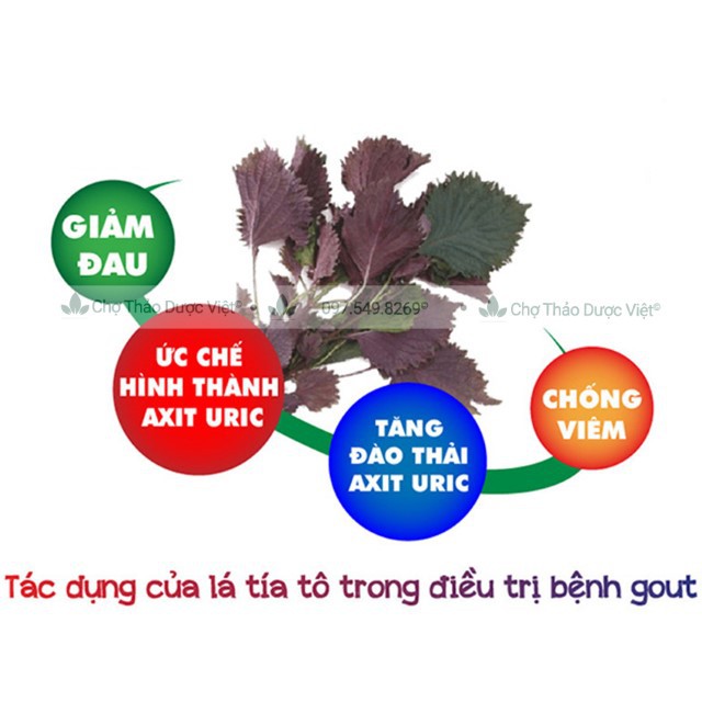 Tía tô khô, thơm, sạch 500g ( Trà tía tô sấy khô, nguyên liệu nấu nước xông giải cam) - Chợ Thảo Dược Việt