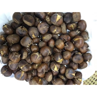Hạt dẻ tươi Sapa